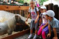 /album/svp-vylet-zoo-bojnice/svp1t101-jpg1/