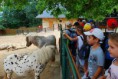 /album/svp-vylet-zoo-bojnice/svp1t103-jpg1/