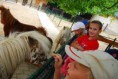 /album/svp-vylet-zoo-bojnice/svp1t104-jpg1/