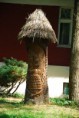 /album/koncorocny-vylet-/vylet056-jpg/