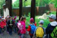 /album/navsteva-zoo-10-5-2016/zoo012-jpg1/