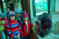 /album/navsteva-zoo-10-5-2016/zoo017-jpg/