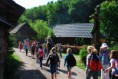 /album/abeland-1-6-2016/abeland010-jpg/